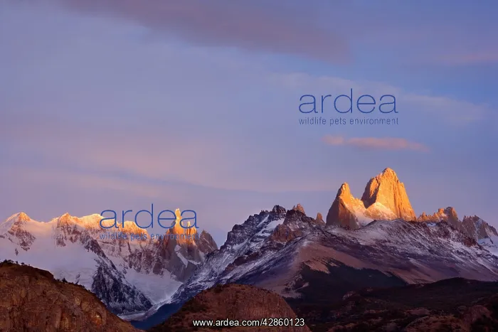 : Fitz Roy Massif - at sunrise - mountain scenery : Fitz Roy Massif - at sunrise - mountain scenery
