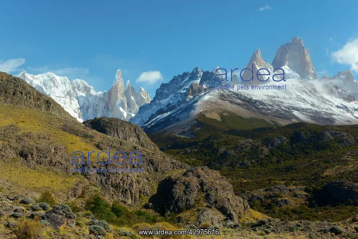 : Fitz Roy panorama - Mount Fitz Roy and Cerro Torre in autumn : Fitz Roy panorama - Mount Fitz Roy and Cerro Torre in autumn