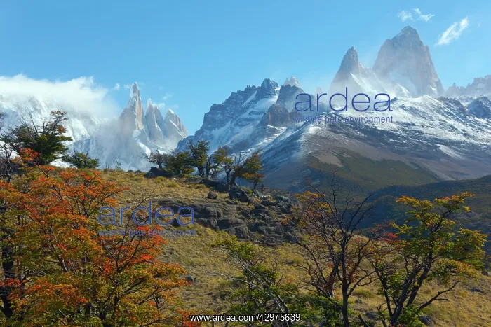 : Fitz Roy panorama - Mount Fitz Roy and Cerro Torre in autumn : Fitz Roy panorama - Mount Fitz Roy and Cerro Torre in autumn