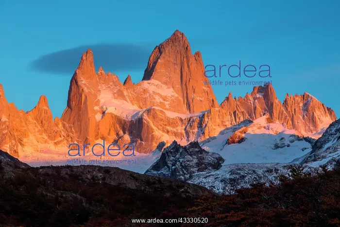 : Fitz Roy summit massif with snow, Los Glaciares : Fitz Roy summit massif with snow, Los Glaciares