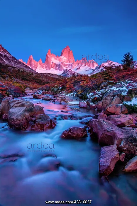 : Fitz Roy summit massif with snow at sunrise, Los : Fitz Roy summit massif with snow at sunrise, Los