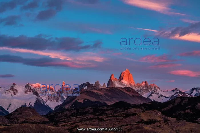 : Fitz Roy summit massif with snow at sunrise, Los : Fitz Roy summit massif with snow at sunrise, Los