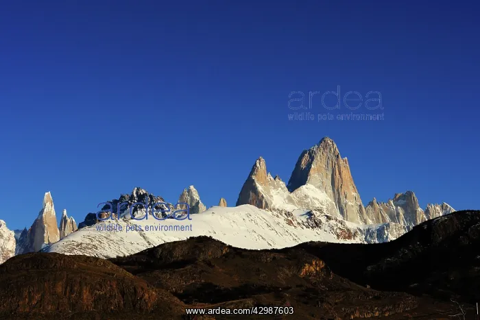 : Fitz Roy and Torre Mountains : Fitz Roy and Torre Mountains