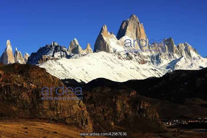 : Fitz Roy and Torre Mountains : Fitz Roy and Torre Mountains