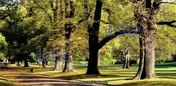: Fitzroy Gardens Melbourne : Fitzroy Gardens Melbourne