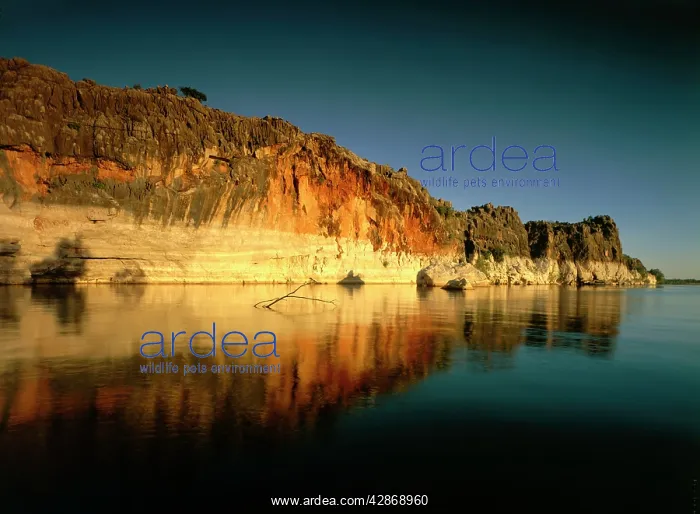 : Fitzroy River cutting through ancient limestone : Fitzroy River cutting through ancient limestone