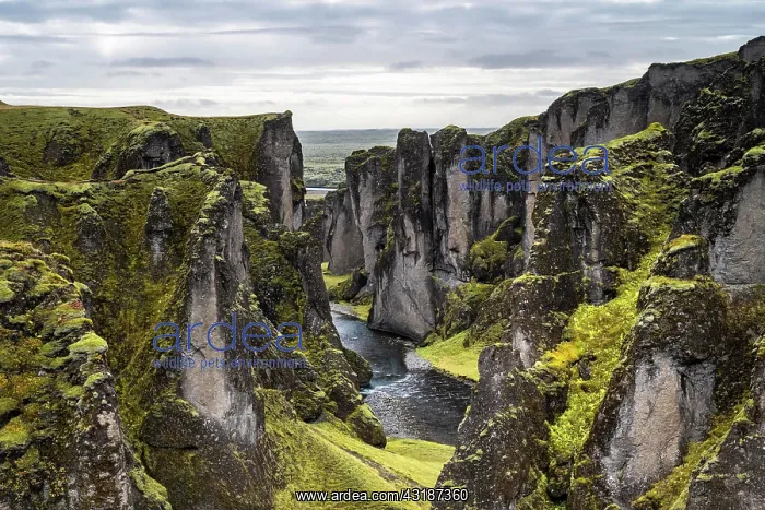 : FjaEr rgljfur Canyon, Fjadrargljufur, deep gorge : FjaEr rgljfur Canyon, Fjadrargljufur, deep gorge