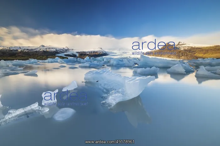 : Fjallsarlon glacier lagoon, icebergs with glacier : Fjallsarlon glacier lagoon, icebergs with glacier