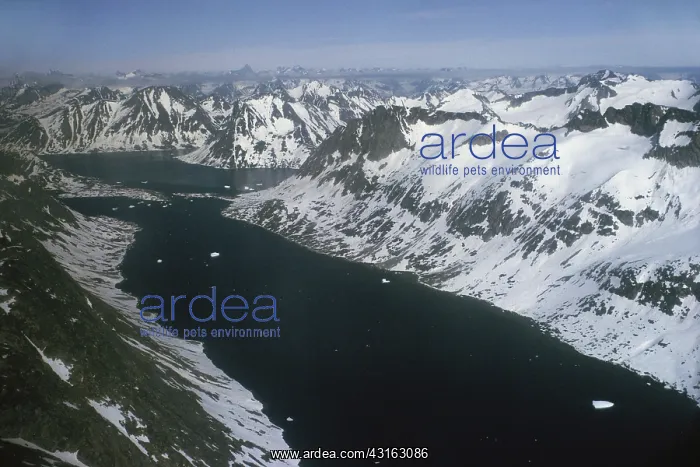 : Fjord in Greenland : Fjord in Greenland