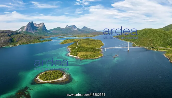  : Fjord with islands in front of Bergen, Mount Sto
