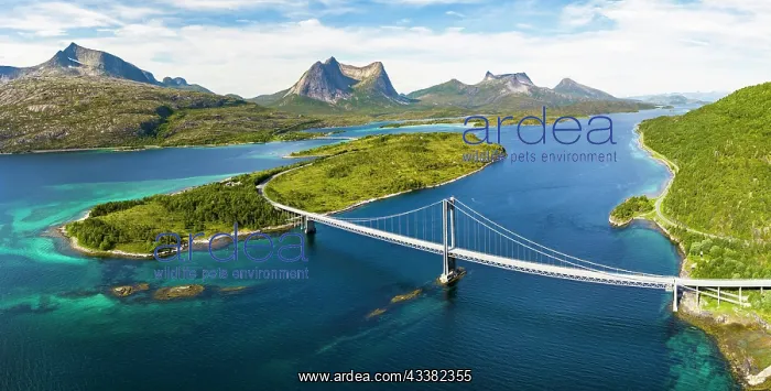: Fjord with islands in front of Bergen, Mount Sto : Fjord with islands in front of Bergen, Mount Sto