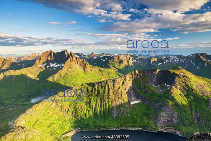 : Fjord and mountains, view of Breidtinden peak, S : Fjord and mountains, view of Breidtinden peak, S