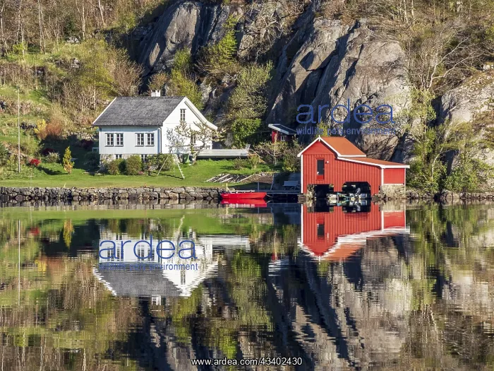 : Fjord near Ana Sira at the norwegian southern coast : Fjord near Ana Sira at the norwegian southern coast