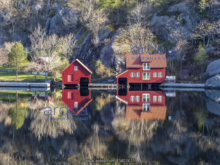 : Fjord near Ana Sira at the norwegian southern coast : Fjord near Ana Sira at the norwegian southern coast