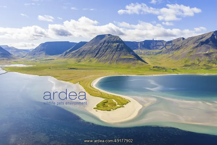 : Fjord with sandy beach and mountains : Fjord with sandy beach and mountains