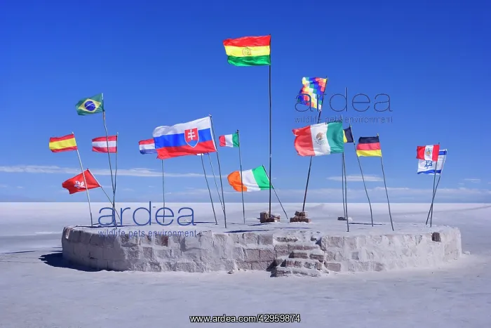 : Flag Forest - international flag forest with flags : Flag Forest - international flag forest with flags