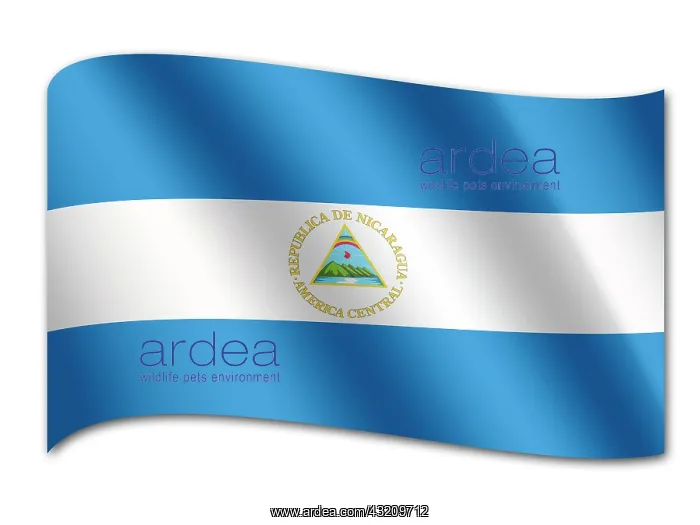 : Flag of Nicaragua : Flag of Nicaragua