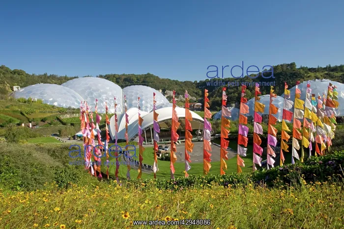 : Flags outside Alpine hut Eden Project : Flags outside Alpine hut Eden Project