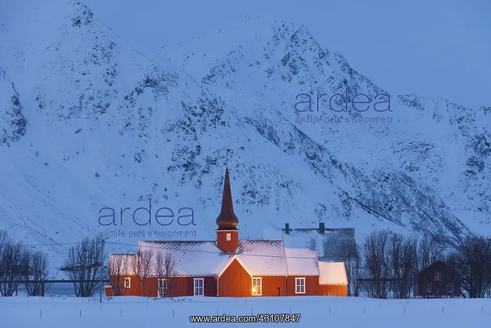 : Flakstad church in winter - Fylke Nordland - Lofoten : Flakstad church in winter - Fylke Nordland - Lofoten