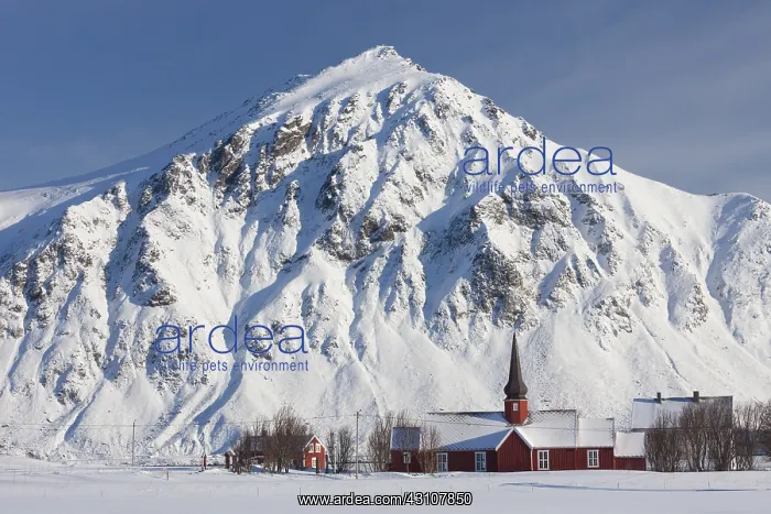  : Flakstad church in winter - Fylke Nordland - Lofoten