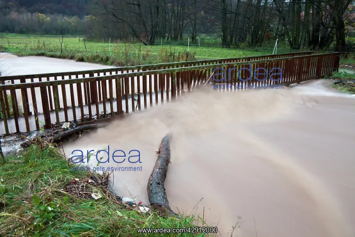 : Flash flood - damage to footbridge after torrential : Flash flood - damage to footbridge after torrential