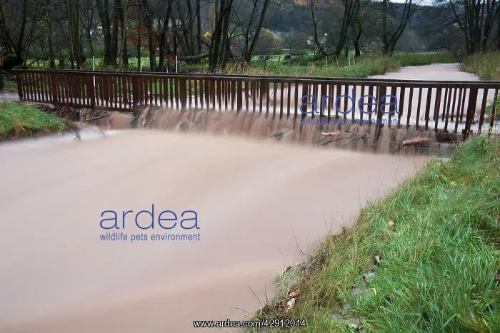 : Flash flood - damage to footbridge after torrential : Flash flood - damage to footbridge after torrential