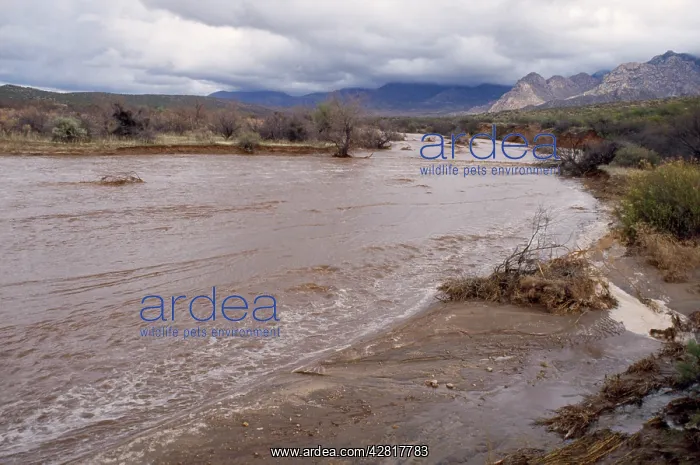 : Flash FLOODING : Flash FLOODING