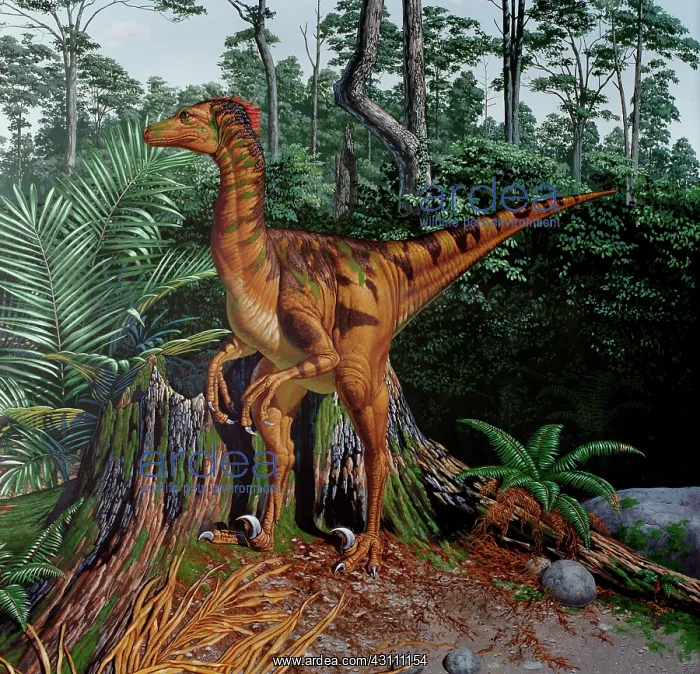  : Fleet-footed dinosaur