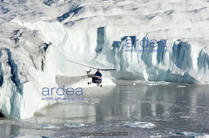: Flight-seeing over Wordie Glacier, Godthab : Flight-seeing over Wordie Glacier, Godthab