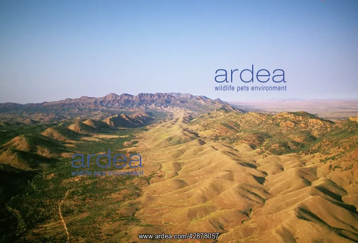 : Flinders Ranges National Park : Flinders Ranges National Park