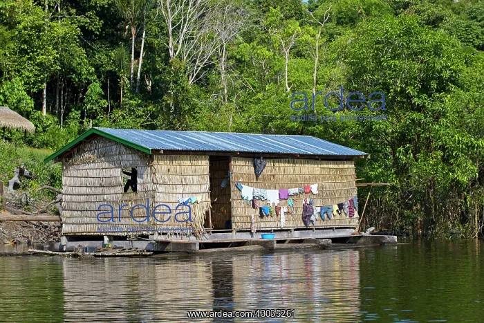 : Floating house on the Purus river Manaus Amazon : Floating house on the Purus river Manaus Amazon