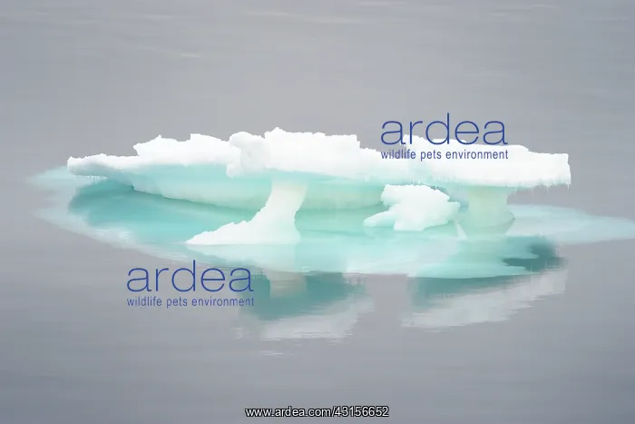 : Floating Ice-forms in Ross-sea : Floating Ice-forms in Ross-sea