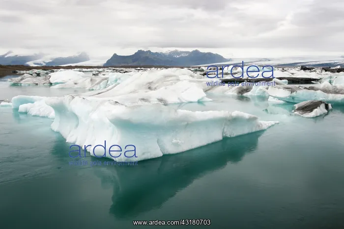 : Floating Ice in J?kulsar n Glacier Lake : Floating Ice in J?kulsar n Glacier Lake