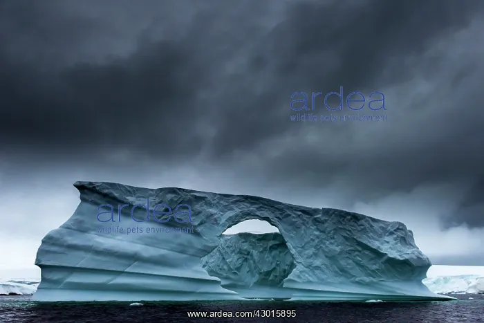 : Floating Ice with moody sky