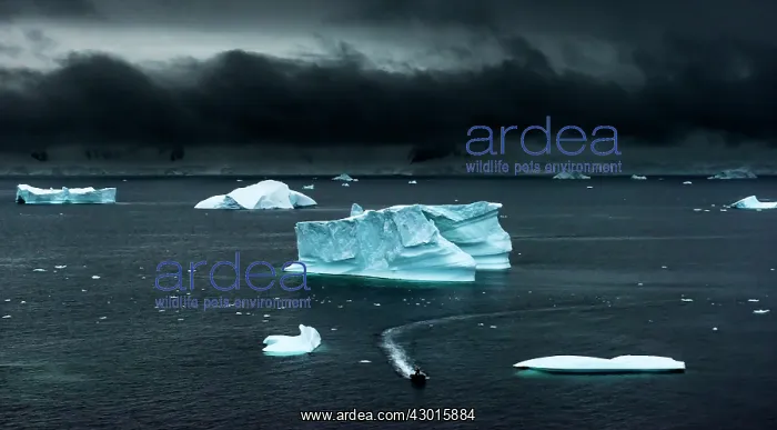 : Floating ice and moody sky with expedition rubber : Floating ice and moody sky with expedition rubber