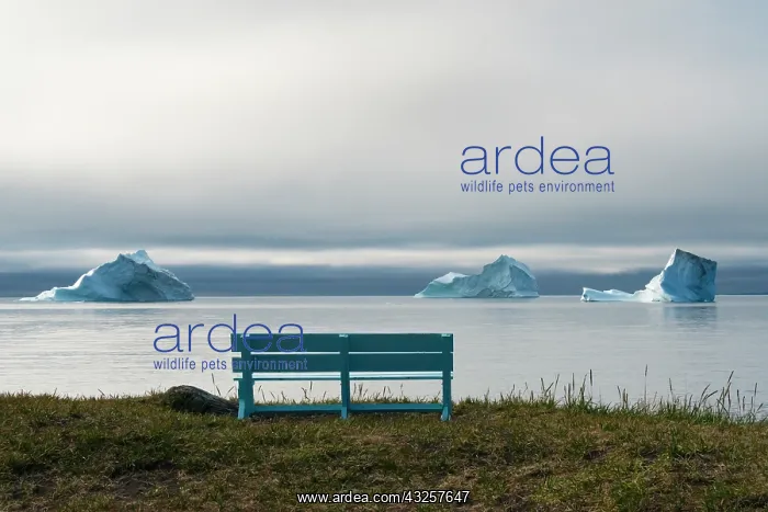 : Floating iceberg in the fjord, Qeqertarsuaq, Greenland