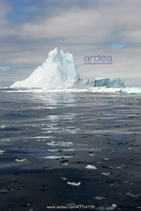 : Floating Iceberg in the Ross sea : Floating Iceberg in the Ross sea