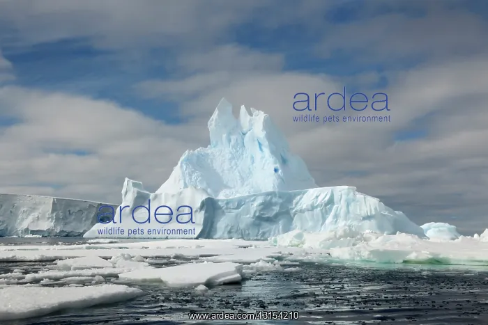 : Floating Iceberg in the Ross sea : Floating Iceberg in the Ross sea