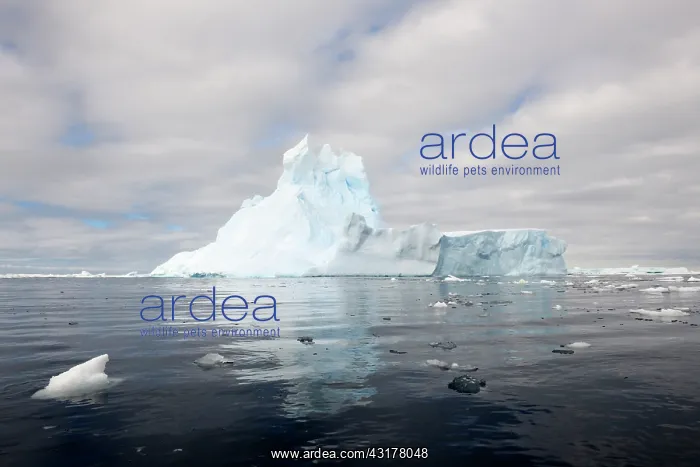 : Floating Iceberg in the Ross sea : Floating Iceberg in the Ross sea