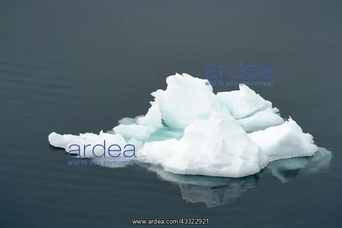  : Floating iceberg in the Ross Sea