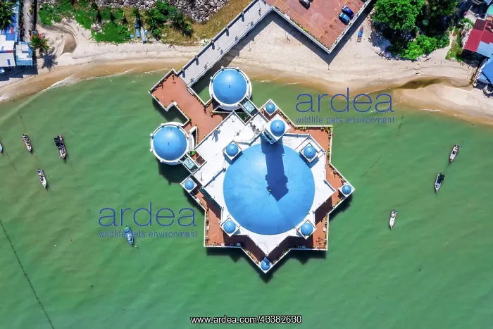 : The Floating Mosque Aerial View on Penang Island : The Floating Mosque Aerial View on Penang Island