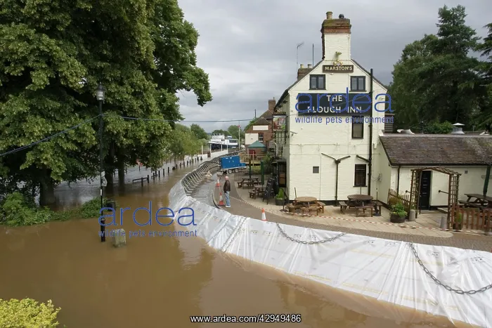 : Flood barriers outside Plough Inn fooded alongside : Flood barriers outside Plough Inn fooded alongside