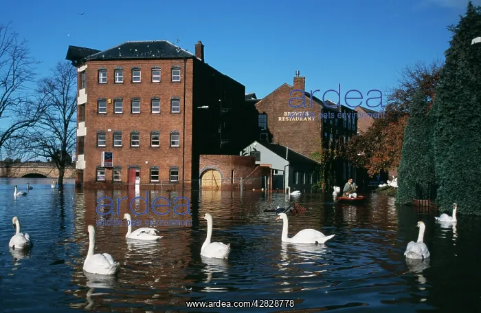 : FLOOD - Flooding On River Severn : FLOOD - Flooding On River Severn