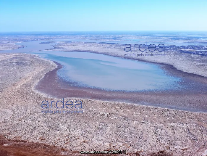 : Flood water flow into the Warbuton Groove - top of Lake Eyre : Flood water flow into the Warbuton Groove - top of Lake Eyre