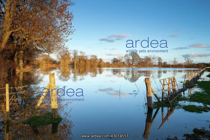  : Flooded Farmland near River Severn