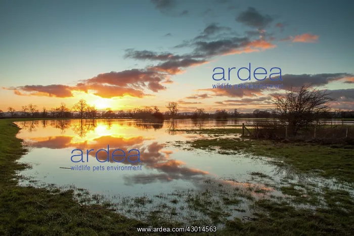  : Flooded Farmland near River Severn