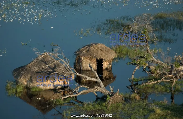 : Flooded / Huts - Areial view of flooded huts : Flooded / Huts - Areial view of flooded huts