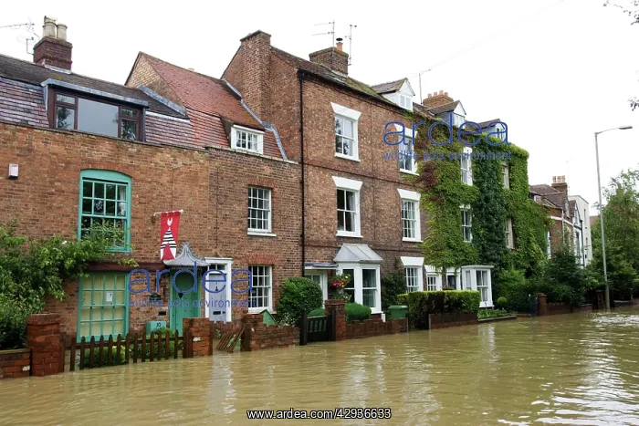 : Flooded road and houses opposite Tewkesbury Abbey : Flooded road and houses opposite Tewkesbury Abbey