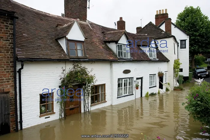 : Flooding - Baling water from flooded riverside : Flooding - Baling water from flooded riverside