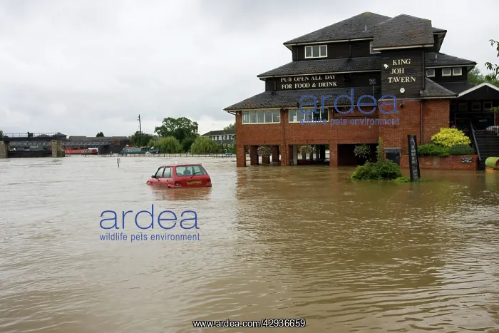 : Flooding - Car submerged in marina car park in : Flooding - Car submerged in marina car park in